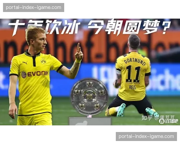 德甲俱乐部夏季转会窗预算公布，拜仁多特领跑引援投入榜单